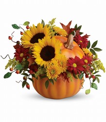 <b>Fall Wishes</b> from Scott's House of Flowers in Lawton, OK